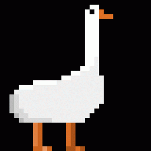 CTF learning GIF