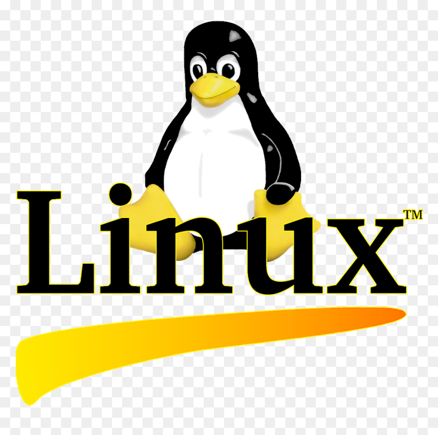 Linux Essentials